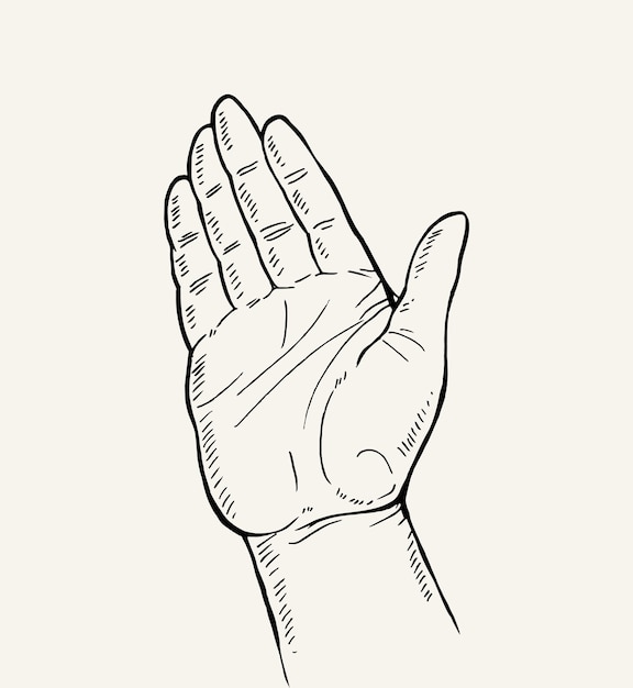 Premium Vector Hand Drawn Sketch Of Hand Gesture