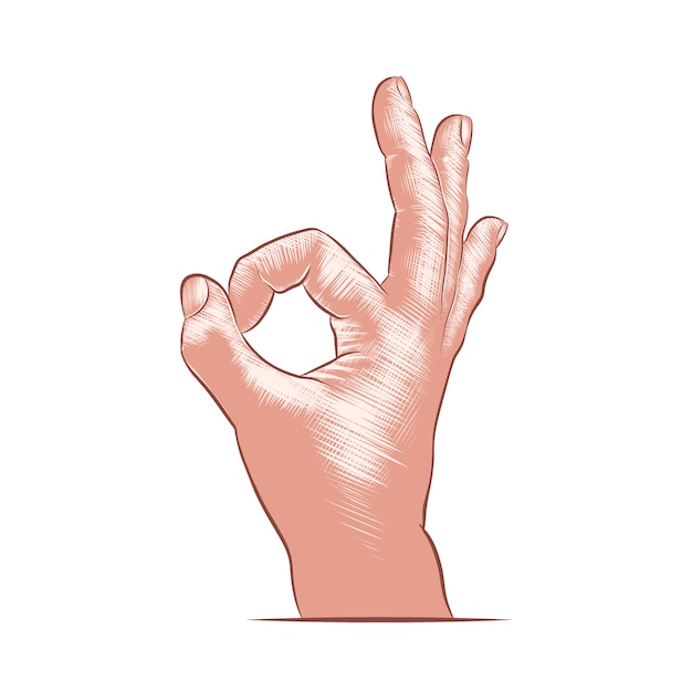 Premium Vector Hand drawn sketch of hand ok sign in colorful