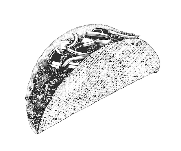 Premium Vector Hand drawn sketch of mexican tacos in monochrome