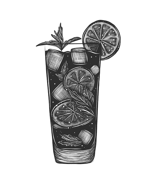 Premium Vector | Hand drawn sketch of mojito cocktail with lime mint ...