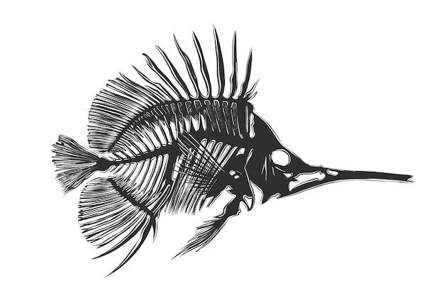 モノクロの魚骨の手描きのスケッチ プレミアムベクター