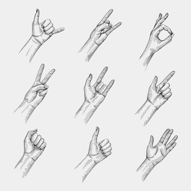 Premium Vector Hand Drawn Sketch Set Of Hand Signs And Gestures Rock And Roll Call Me Ok Hand Sign Peace Hand Sign Love You Gesture Finger Gun Sign Live Long And Prosper Thumbs