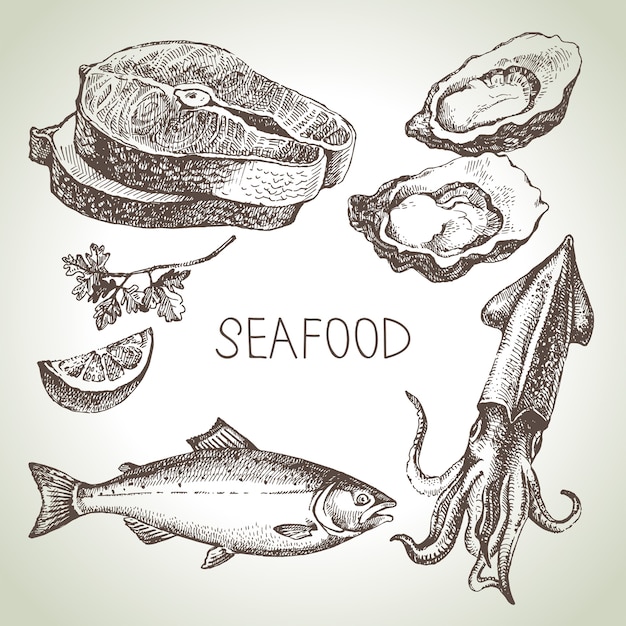 Premium Vector Hand drawn sketch set of seafood. illustration