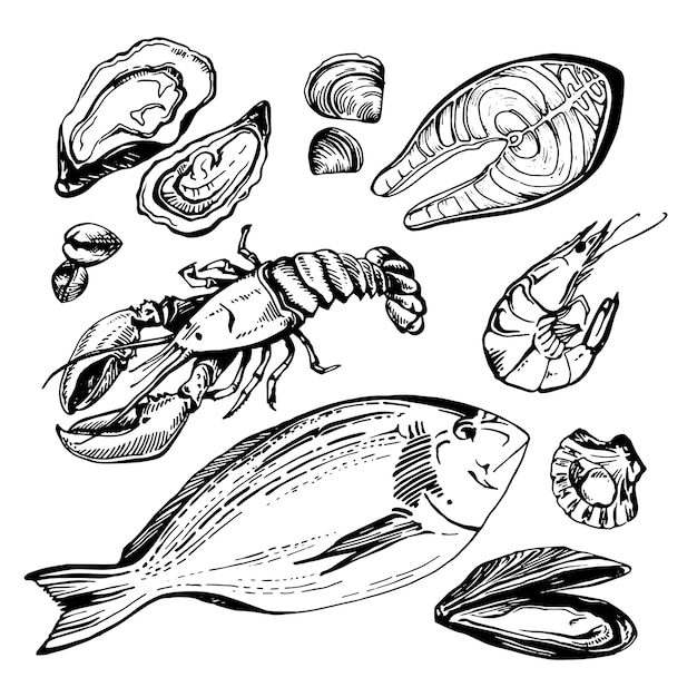 Premium Vector Hand drawn sketch set of seafood.