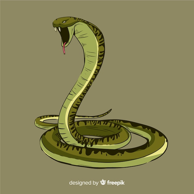 手描きのヘビのイラスト 無料のベクター