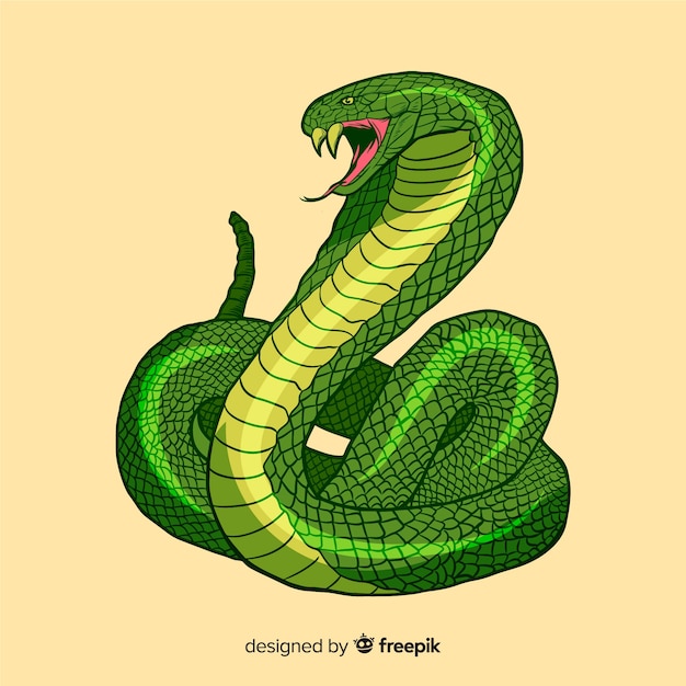 手描きのヘビのイラスト プレミアムベクター