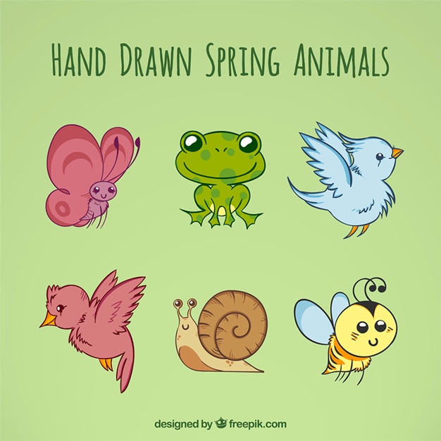 Hand drawn spring animals Vector Premium Download