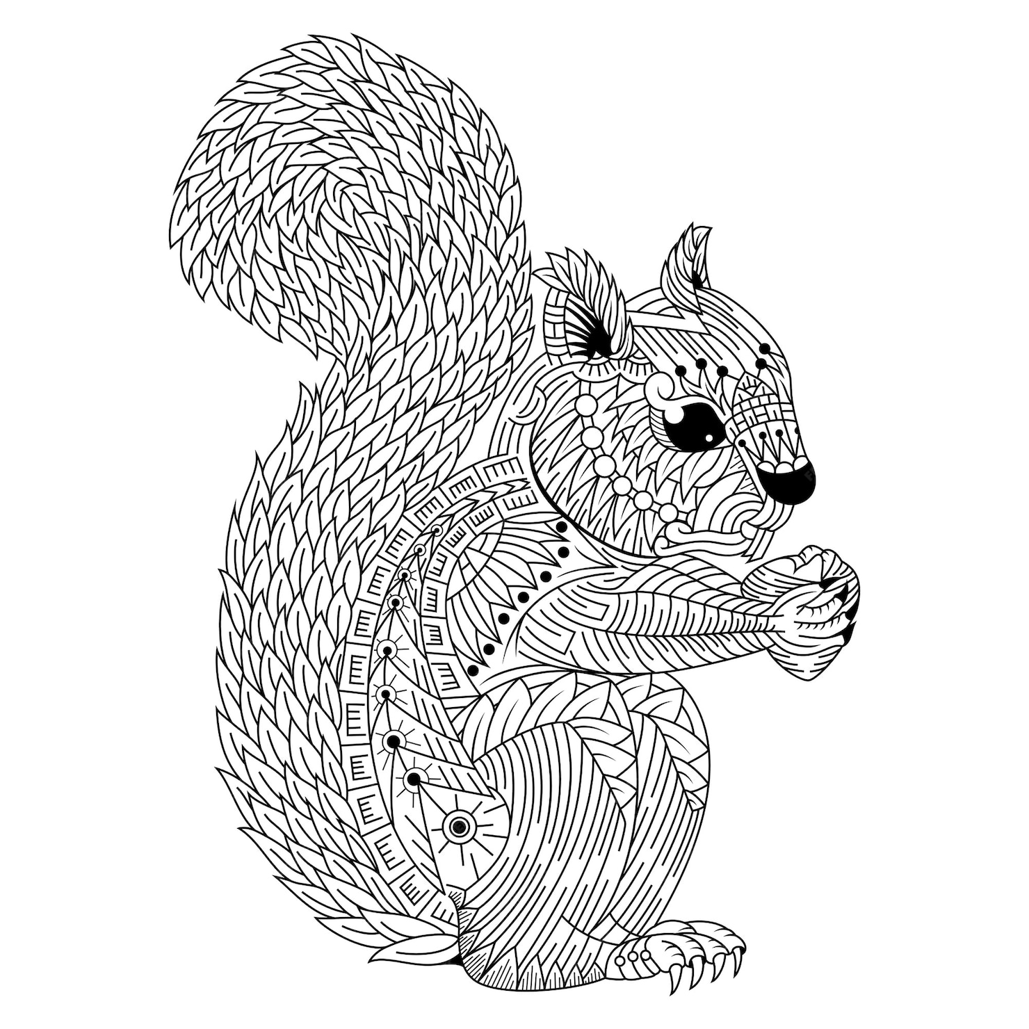 Premium Vector | Hand drawn of squirrel in zentangle style