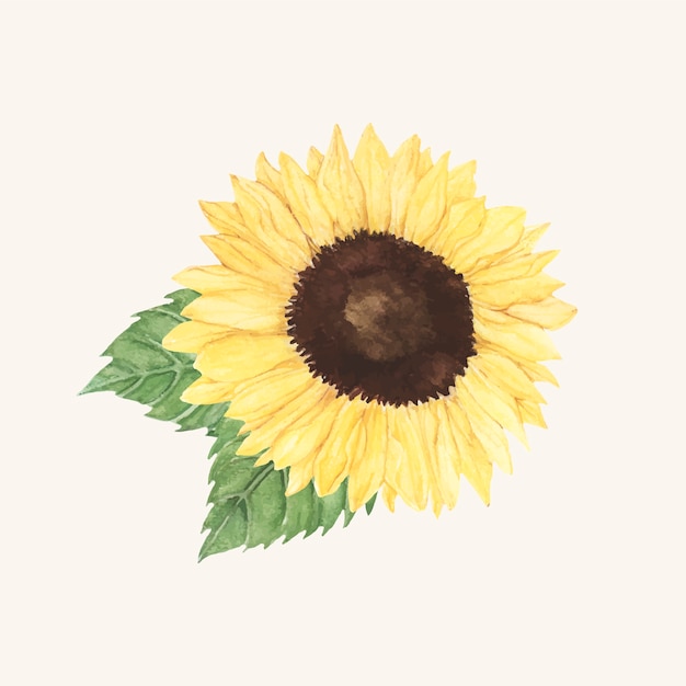 Featured image of post Sfondi Fiori Tumblr Girasoli Ciao a tutti sono dado gianluca colui che ha scattato la foto ai girasoli scelta come copertina del gruppo volevo ringraziare per la scelta e sono orgoglioso di vedere una mia foto in evidenza 8 43am 4 november 2014 pst permalink