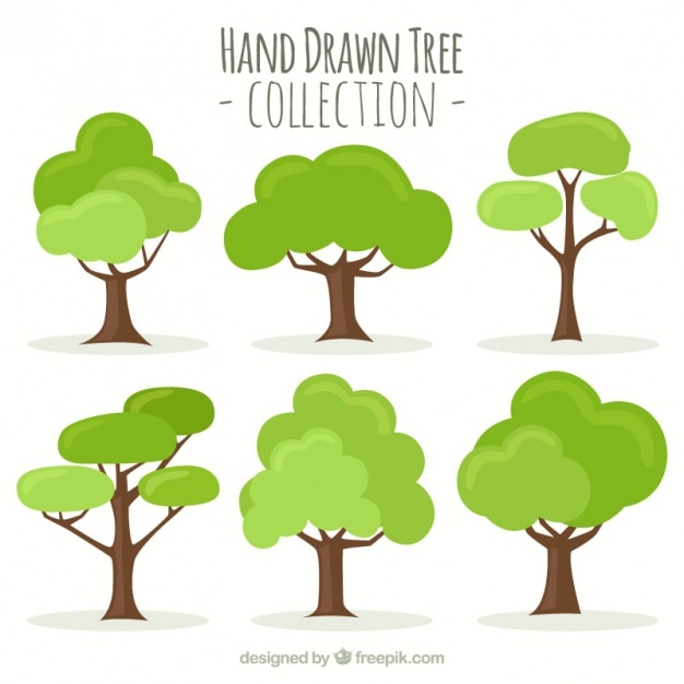 Tree Images Free Vectors Stock Photos Psd