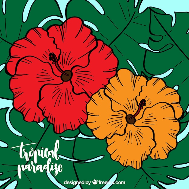 Hand drawn tropical flower background