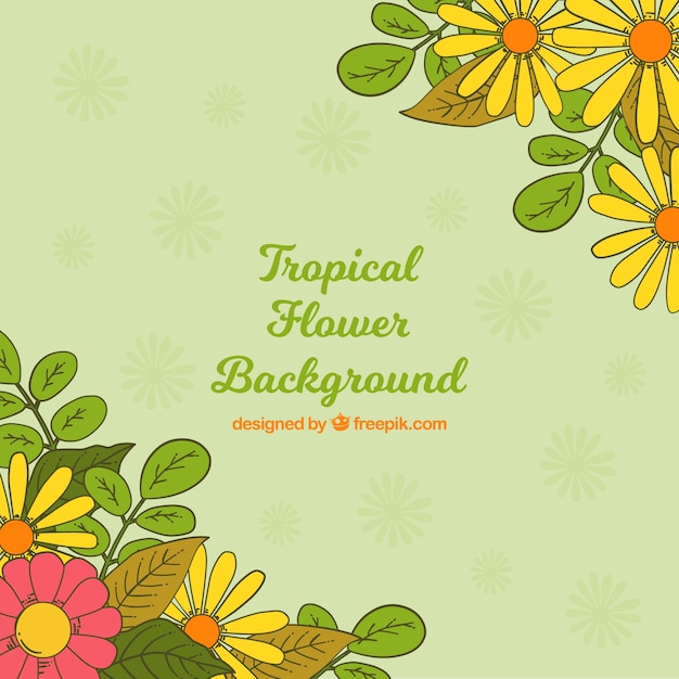 Hand drawn tropical flower background