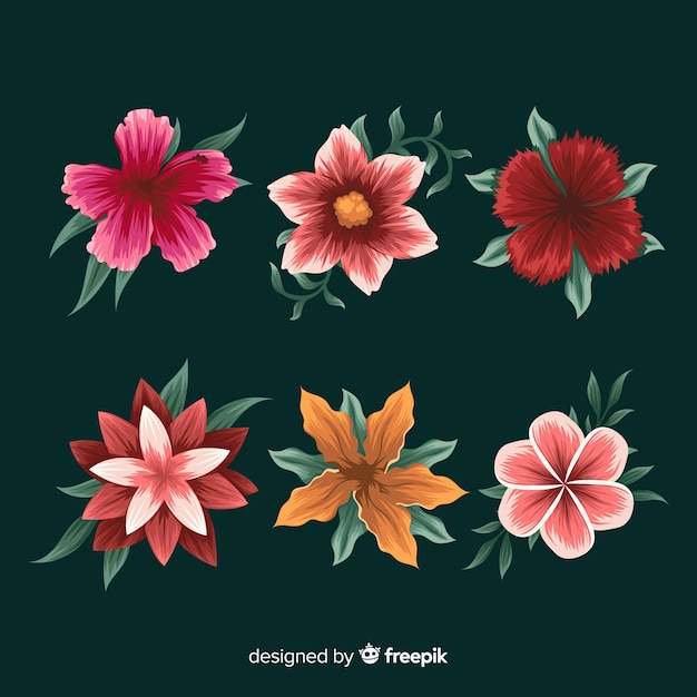 Hand drawn tropical flower pack