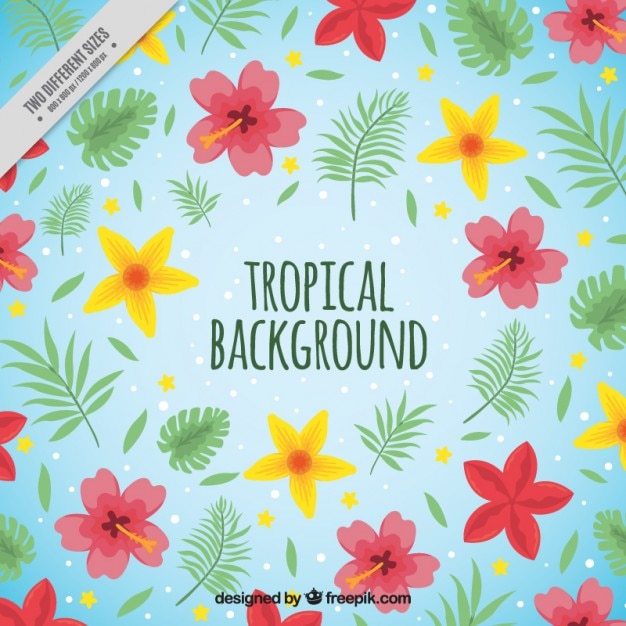 Hand drawn tropical flowers background