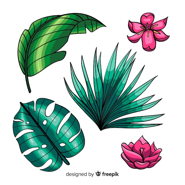 Free Free 314 Tropical Flower Leaves Svg SVG PNG EPS DXF File