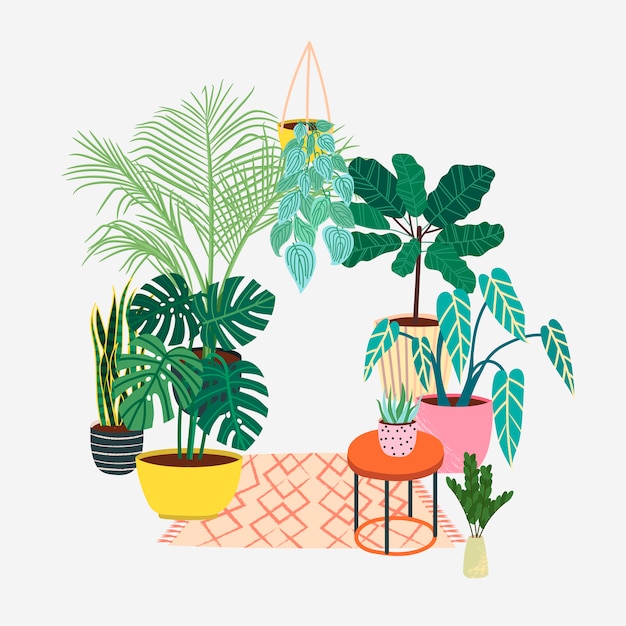 Indoor Plants