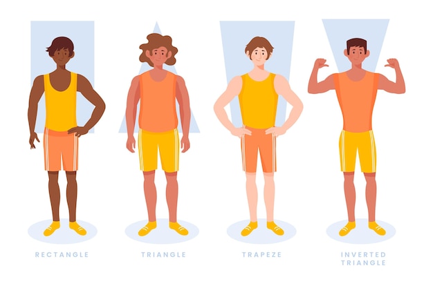 male body shapes