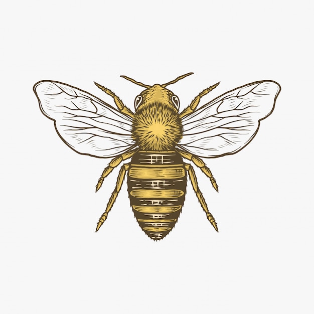 Download Free Bee Images Free Vectors Stock Photos Psd Use our free logo maker to create a logo and build your brand. Put your logo on business cards, promotional products, or your website for brand visibility.