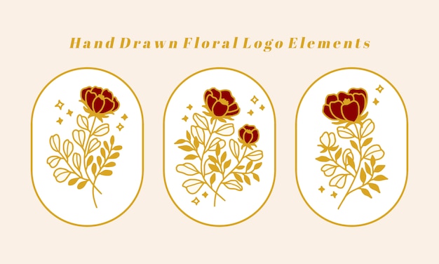 Download Premium Vector | Hand drawn vintage botanical peony flower ...