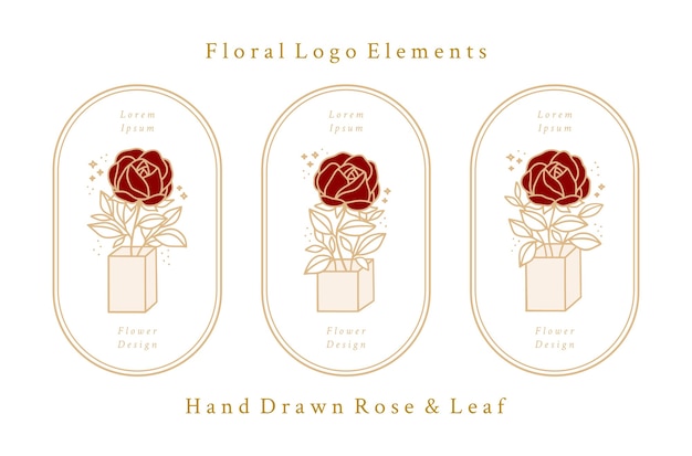 Download Premium Vector Hand Drawn Vintage Botanical Rose Flower Logo Template And Feminine Beauty Brand Element Collection