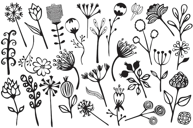 Premium Vector | Hand drawn vintage floral elements of flowers leaves ...