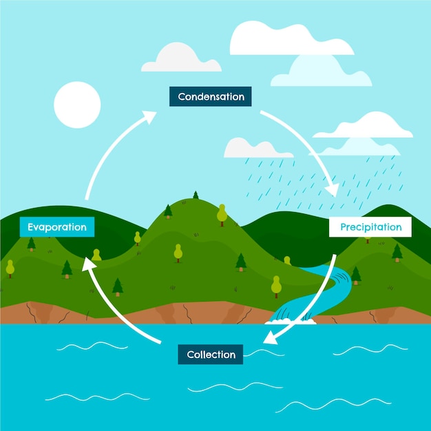 Free Vector Hand Drawn Water Cycle