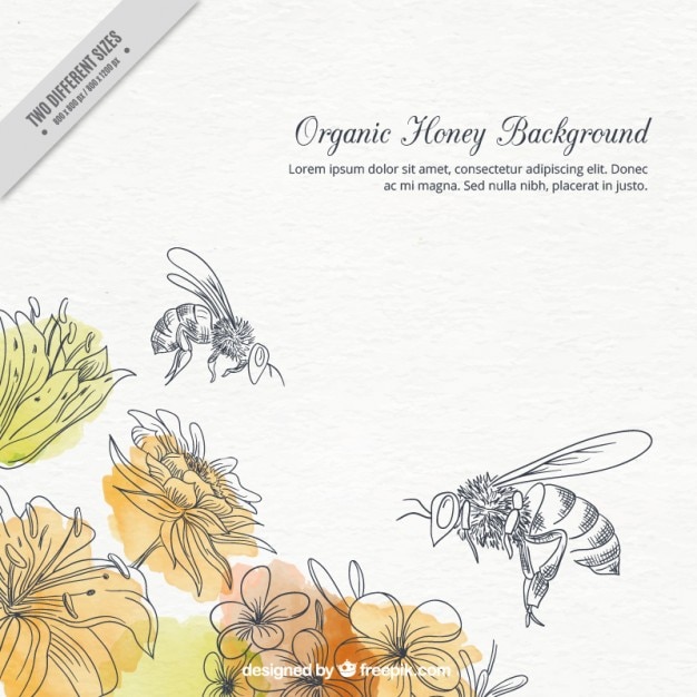 手描きの水彩画の花とミツバチの背景 プレミアムベクター