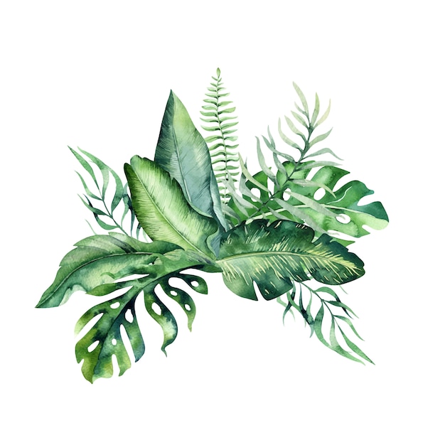 手描き水彩の熱帯の花の花束 エキゾチックなヤシの葉 ジャングルの木 ブラジルの熱帯植物要素と花 プレミアムベクター