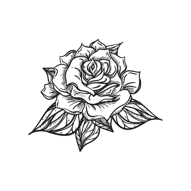 Premium Vector | Hand drawn wedding rose. flower template for wedding ...