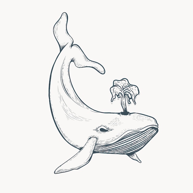 手描きクジライラスト プレミアムベクター