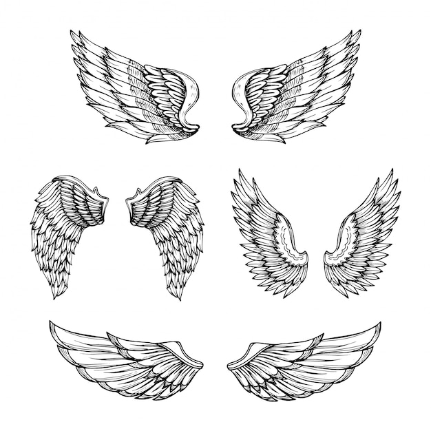Download Free Hand Drawn Wing Sketch Angel Wings With Feathers Premium Vector Use our free logo maker to create a logo and build your brand. Put your logo on business cards, promotional products, or your website for brand visibility.