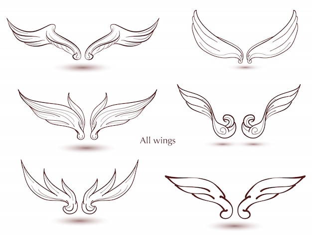  Hand drawn wings set. vector doodle winged for decorate