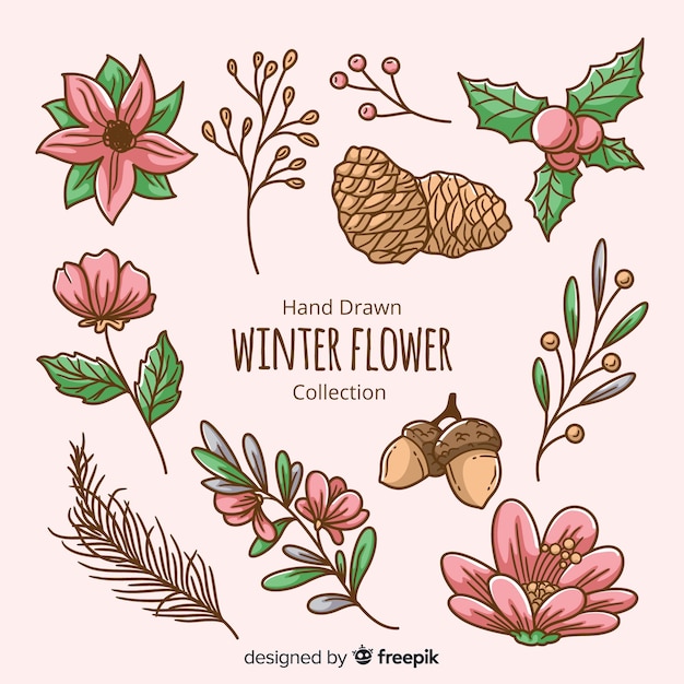 Free Vector Hand drawn winter flower collection