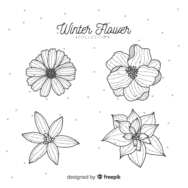 Hand drawn winter flower collection Free Vector