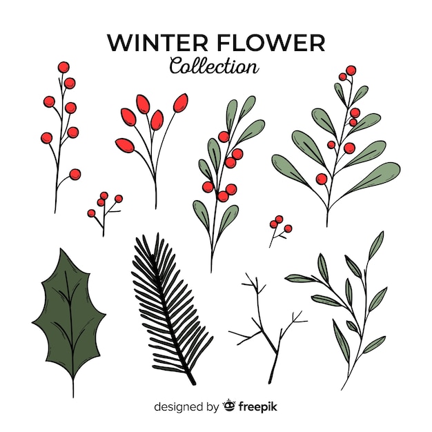 Free Vector Hand drawn winter flowers collection