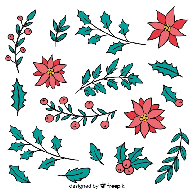 Free Vector Hand drawn winter flowers