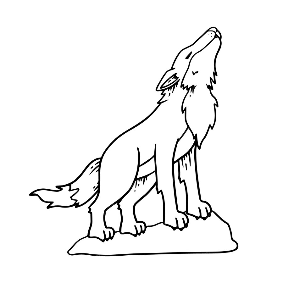 Premium Vector | Hand drawn wolf outline illustration