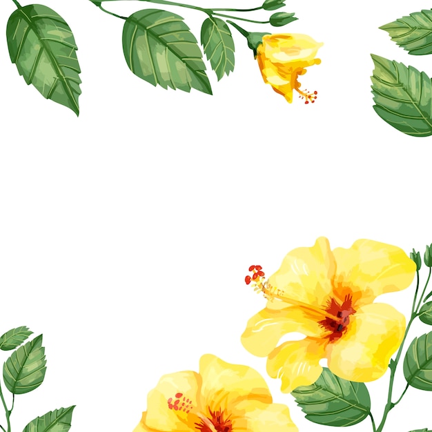 Premium Vector Hand drawn yellow hibiscus flower