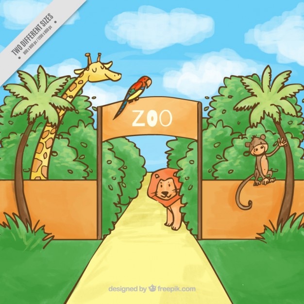 Hand drawn zoo with animals background
