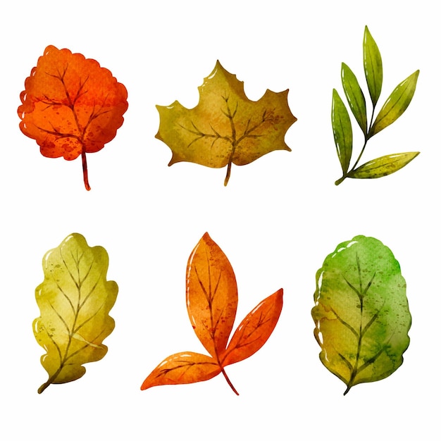 Free Vector | Hand painted different leaves in watercolor collection