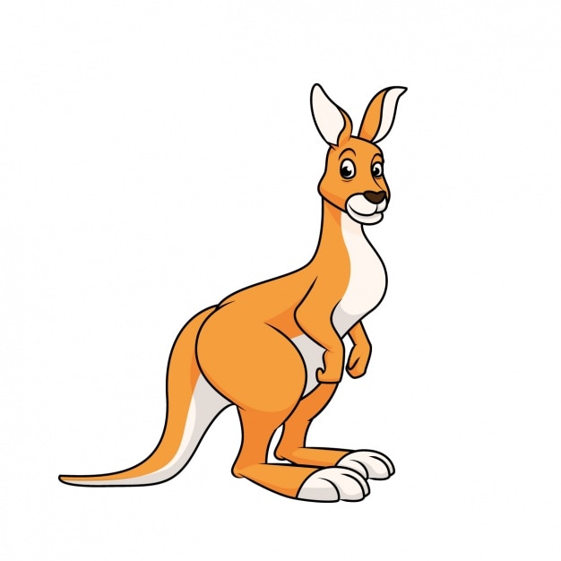 Image result for kangaroo cartoon