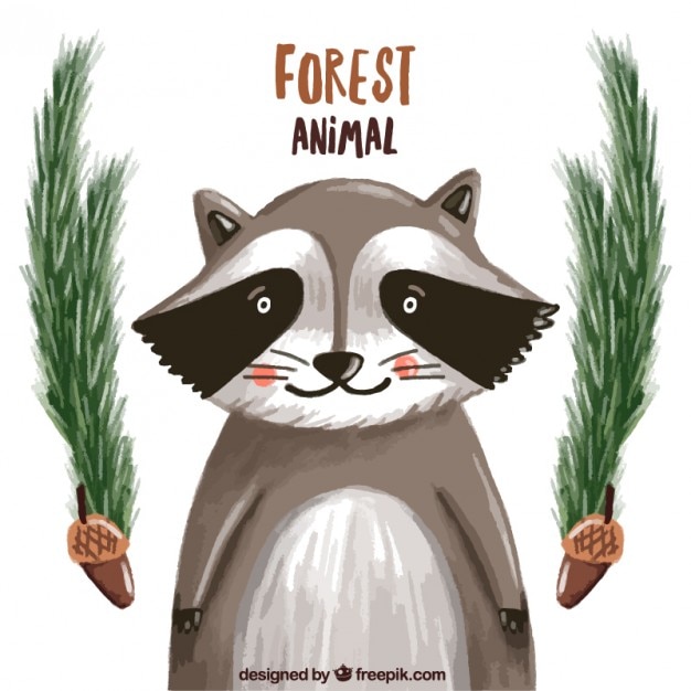 Hand painted nice raccoon with pines decoration Free Vector