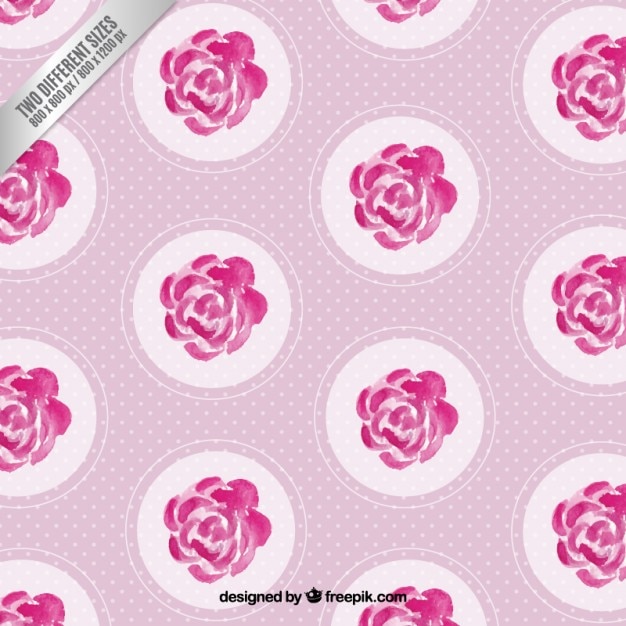 Hand painted roses background