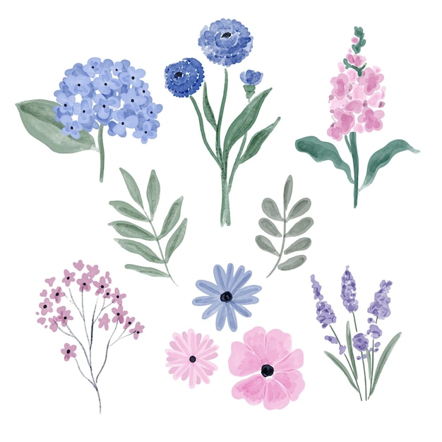 Free Vector | Hand painted watercolor flower collection