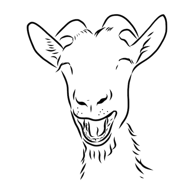 Premium Vector Hand Sketch Head Of Goat Vector Illustration