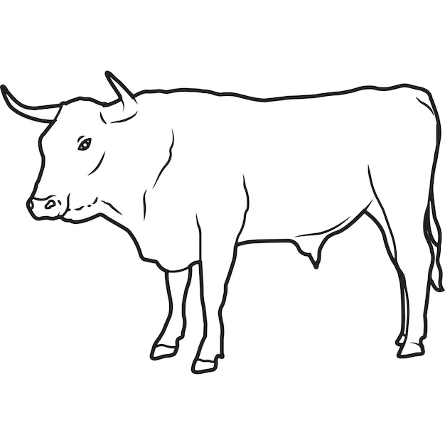 Premium Vector | Hand sketched hand drawn corriente cow vector