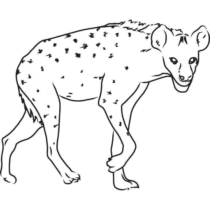 Premium Vector | Hand sketched hand drawn hyena vector