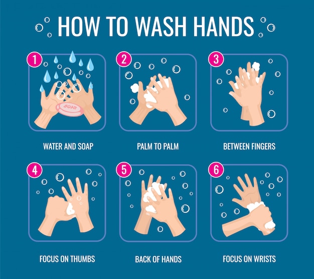 手洗い指導 コロナウイルス保護 個人衛生の毎日のルール 情報ポスター石鹸イラストで手を洗う方法 プレミアムベクター