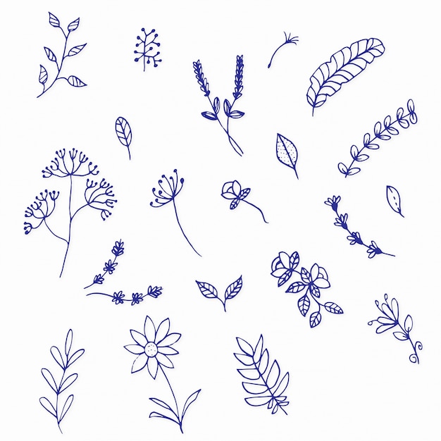 Handdrawn flower collection | Premium Vector