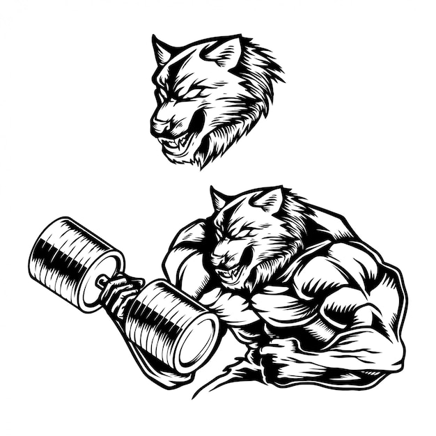 Handdrawn vector illustration strong muscular wolf Vector | Premium ...